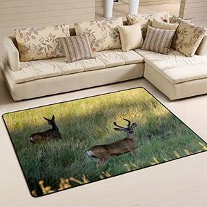 Vloerkleed 100 x 150 cm, Kudus herten lopen met gras begroeid veld woonkamer tapijt print gebied tapijten voor slaapkamer wasbaar vloertapijt, voor picknick, binnen en buiten