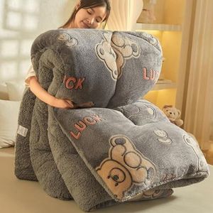 HHDOMLTH Lamsfluwelen stof winter quilt, dikke warme kasjmier dekbed kern, dubbelzijdige dikke ademende winter warme quilt, dekbed geschikt voor thuisgebruik (grijs, 200 x 230 cm (5 kg))