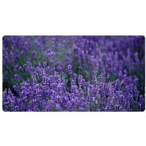 VAPOKF Lavendel bloem keuken mat, antislip wasbaar vloertapijt, absorberende keuken matten loper tapijten voor keuken, hal, wasruimte