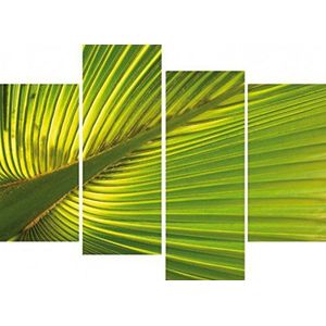 1art1 Palmbomen Poster Kunstdruk Op Canvas Hemp Palm Leave, 4 Parts Muurschildering Print XXL Op Brancard | Afbeelding Affiche 120x80 cm