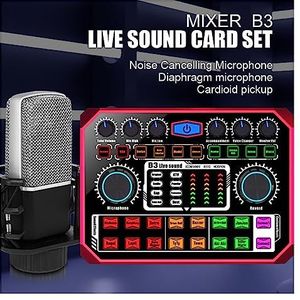 Draadloze Microfoon, Draadloze Microfoon Geluidskaart Set Professionele Live Geluidskaart Mixer for Gaming Telefoon Computer PC(Other)
