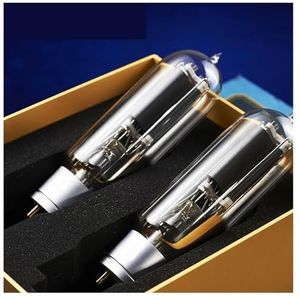 WE 211 Precisieversterker voor vacuümbuizen (2 stuks)