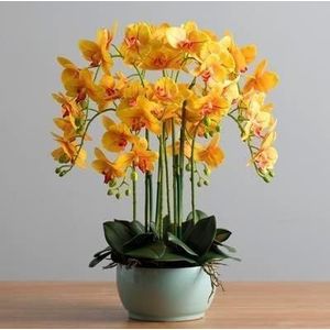 orchideeën Kunstmatige Orchidee Herbruikbare Kunstmatige Phalaenopsis Bloemen Met Planter Ingemaakte Faux Latex Voor Home Decor Kunstbloemen heel natuurlijk