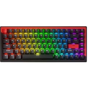 QPSJXN Compact TKL mechanisch toetsenbord met magnetische schakelaar en RGB 75 procent lay-out 84 (zwart - ANSI)