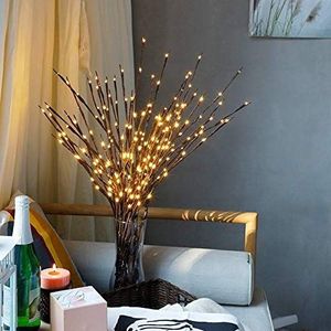 Kylewo Led-lamp tak, 20 leds, waterdichte lichttakken, 77 cm, warm wit, tak op netstroom, voor Kerstmis, Pasen, Halloween