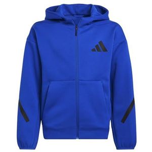 adidas, Blauw, 13 jaar