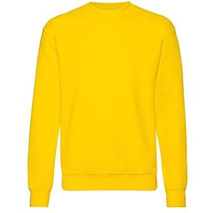 Fruit of the Loom Sweatshirt met aangezette mouwen, zonnebloem, XL
