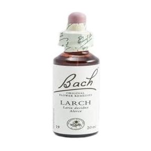 Bach Flores de Bach Larch Glazen fles met druppelaar, 20 ml