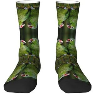 Twee papegaaien op groene palmboom volwassen grappige 3d sokken crew sokken nieuwigheid sokken gag geschenken, zachte gezellige sokken., 2 Zwart-2, Eén Maat