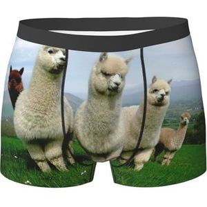 EdWal Alpaca Family Print Sportondergoed voor heren, ondergoed voor heren, boxerslip, zacht ondergoed, Zwart, XXL