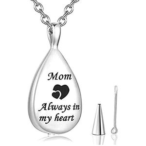 XLIAN326 Custom Graveren Roestvrij Staal Crematie Urn Ketting Voor As Urn Sieraden Altijd In Mijn Hart Memorial Hanger Met Fill Kit Pet Memorial (Belangrijkste Steen Kleur: Papa, Metalen Kleur: Zilver)