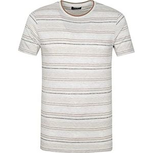 DSTREZZED T-shirt strepen lichtgrijs, grijs, bruin, M