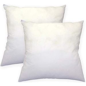 Haus und Deko Set van 2 vulkussens 30x30 cm binnenkussen polyester sofakussen hoofdkussen kussen wit # 2246 (30 x 30 cm)