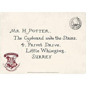 Harry Potter Decoratief metalen bord, metaal, letter, 21 x 15 cm