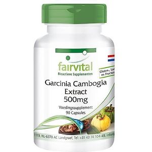 Fairvital | Garcinia Cambogia capsules - extract 500mg - HOOG GEDOSEERD - VEGAN - 90 capsules - gestandaardiseerd op 60% HCA