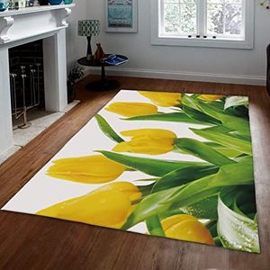 Harige pluizige zachte vloerkleden gele tulp tapijten voor woonkamer slaapkamer slaapzaal groene planten kinderkamer vloer tapijt huisdecoratie 120 x 170 cm