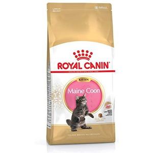 Royal Canin Cat Food Kitten Maine Coon 4 Kg