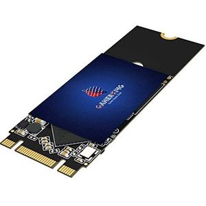 Gamerking SSD M.2 2260 1 TB NGFF Interne Solid State Drive Krachtige Harde Schijf voor Desktop Laptop SATA III 6Gb/s M2 SSD (1TB, M.2 2260)