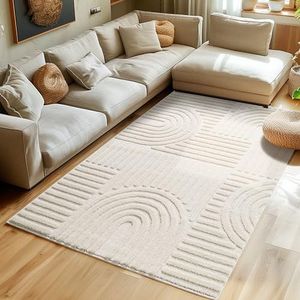Hoogpolig vloerkleed voor de woonkamer, keukentapijt, slaapkamer tapijt Scandinavisch en boho tapijt met 3D-ontwerp, kleur: Room, maat: 240x340 cm