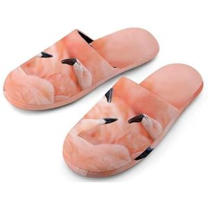 Flamingos katoenen pantoffels voor dames, huisschoenen, wasbare pantoffels voor vrouwen, maat 36-37 (5.5-6)