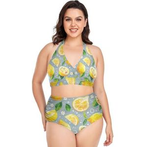 Polka Dot Citroen Oranje Fruit Vrouwen Bikini Sets Plus Size Badpak Twee Stukken Hoge Taille Strandkleding Meisjes Badpakken, Pop Mode, L