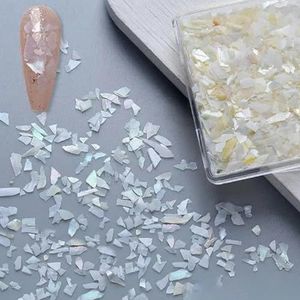 12Grids Onregelmatige Aurora Zeeschelp Textuur Dunne Abalone Slice Charms Vlokkenpalet Nail Art Pailletten DIY Manicure Decals Tip-05