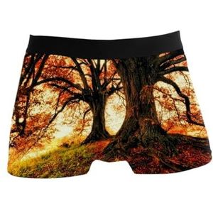 GISPOG Herfst Bomen Geel Heren Boxers Slips Man Ondersteuning Ondergoed Stretch Low Rise Boxer Korte Trunks, 1 kleur, S