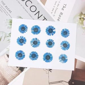 12 stuks geperst gedroogde Conyza Canadensis vulstof bloem voor epoxyhars sieraden maken ansichtkaart frame telefoonhoes ambachtelijke DIY-marineblauw