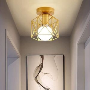 TONFON Moderne Scandinavische plafondlamp ijzeren kooi E27 plafondlamp persoonlijkheid vintage industriële plafondlamp for hal balkon entree foyer trappenhuis gangpad zolder restaurant hanglamp(Color: