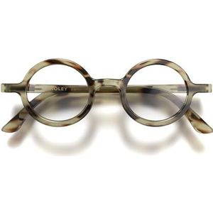 London Mole® Moley leesbril | Coole ronde lezers | Heren dames unisex | Veer scharnieren