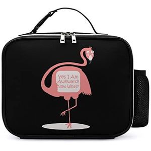 Grappige onhandige flamingo draagbare geïsoleerde lunchtassen doos draagtas volwassenen koeltas voor mannen en vrouwen werk picknick
