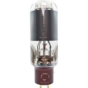 ART 845 WE845 E845 E845 845B 845T buis HIFI audio versterker (1 stuks)