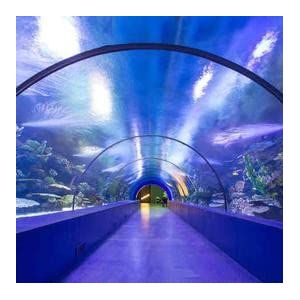 Aquarium plexiglas®, DS acrylglas (aquarium plexiglas®, DS acrylglas 70x70x70 met rand rondom