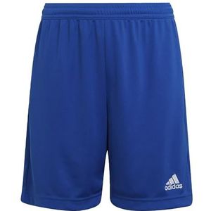 adidas - Entrada 22 Shorts Youth - Voetbalbroekje Blauw