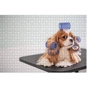 Jigsaw Puzzel 1000 Stuks Cavalier King Charles Spaniel Hondenverzorgingssessie Speciale Puzzel Voor Volwassenen Uniek Ontwerp Houten Puzzel Volwassen Jongens Puzzel Voor Kinderen
