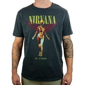 Amplified Heren Nirvana-in Utero Colour T-Shirt, Grijs (houtskool Cc), XXL