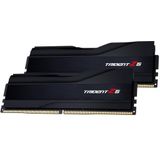 G.SKILL - Trident Z5 Series - DDR5 Geheugen - Metallic Zilver