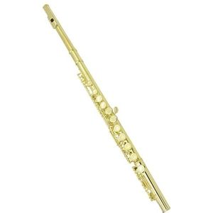 16 Gesloten Open Gaten C-sleutel Dwarsfluitconcertinstrument Met Accessoires Voor Studenten Dwarsfluit set (Color : Gold)