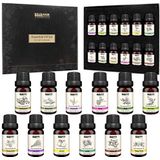 BRUBAKER Cosmetics Set van 12 Essentiële Oliën 12 X 10 ML - Lavendel Rozemarijn Kamille Patchouli Sage Ylang-Ylang Cardamon Argan Tea Tree - Geurolie Voor Diffuser Massage Aromatherapie