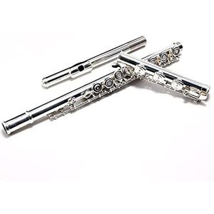 Zengxue fluit volwassenen 17 Open Gat Sterling Zilver Mondstuk Fluit Instrument