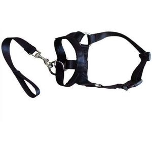 ZHAOCHEN. Training Puppy Head Collar Halter Pet Mouth Traction Set muilkorf Strap S-XXL (Color : Black, Size : S)