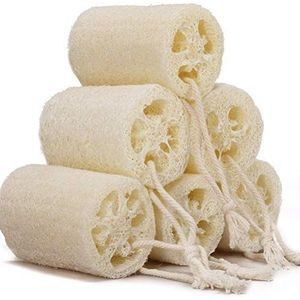 Set van 6 natuurlijke loofah-sponzen, biologisch afbreekbare lichaamsscrubbers, exfoliërende loofah badspons voor dode huid, gladder, geweldig voor doucheschrobben en keukenreiniging (4 inch) (6
