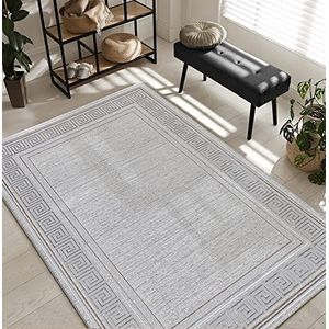 The Carpet Mila-tapijt, modern tapijt voor in de woonkamer, elegant, glanzend, laagpolig woonkamertapijt, in grijs met een goud-zilveren rand, tapijt van 120 x 170 cm