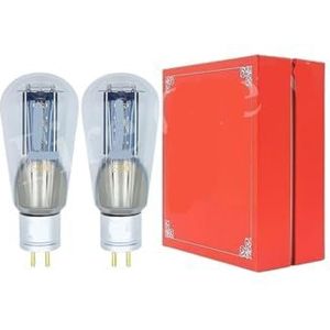 E-300B E300B buis upgrade 300B 4300B 7300B WE300B 300BT A300B HIFI audio buis versterker (2 stuks Matched Pair)