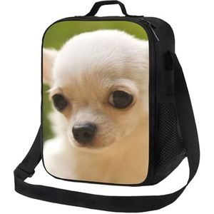EgoMed Lunchtas, duurzame geïsoleerde lunchbox herbruikbare draagtas koeltas voor werk schoolwit chihuahua hondengezicht
