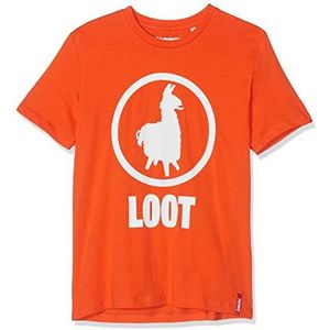 Fortnite Boy's 10805 T-shirt, oranje (oranje), 16 jaar