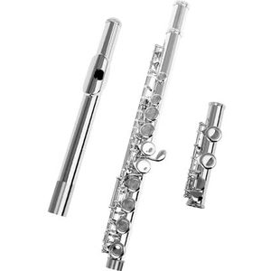 Fluit 16-gaats gesloten gat fluit C-sleutel Professionele zilveren fluit Muziekinstrument Fluitkoffer Zorg Stok Handschoenen Accessoires (Color : Silver)