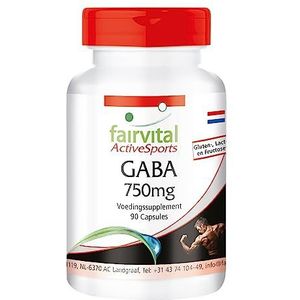 Fairvital GABA 750mg - 45 DAGEN lang - 1500mg per dagelijkse dosis - VEGAN - 90 capsules - gamma-aminoboterzuur