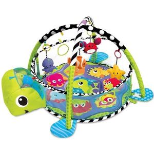 Groeien with Me 3-in-1 Baby Acitivity Gym speelmat & Ball Pit met mesh zijkanten