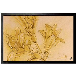1art1 Leonardo Da Vinci Study Of A Lily, 1480-1485 Deurmat 60x40 cm